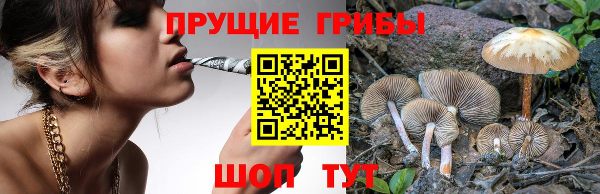 Домодедово  Псилоцибиновые грибы мицелий  Вход с VPN  Псилоцибиновые грибы мицелий 