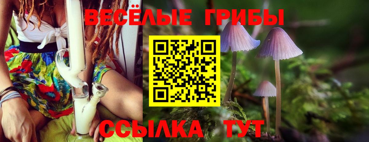 Псилоцибиновые грибы ЛСД Домодедово